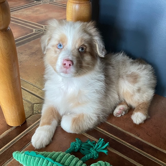 Bundle and Save! - Picture 11 of 12